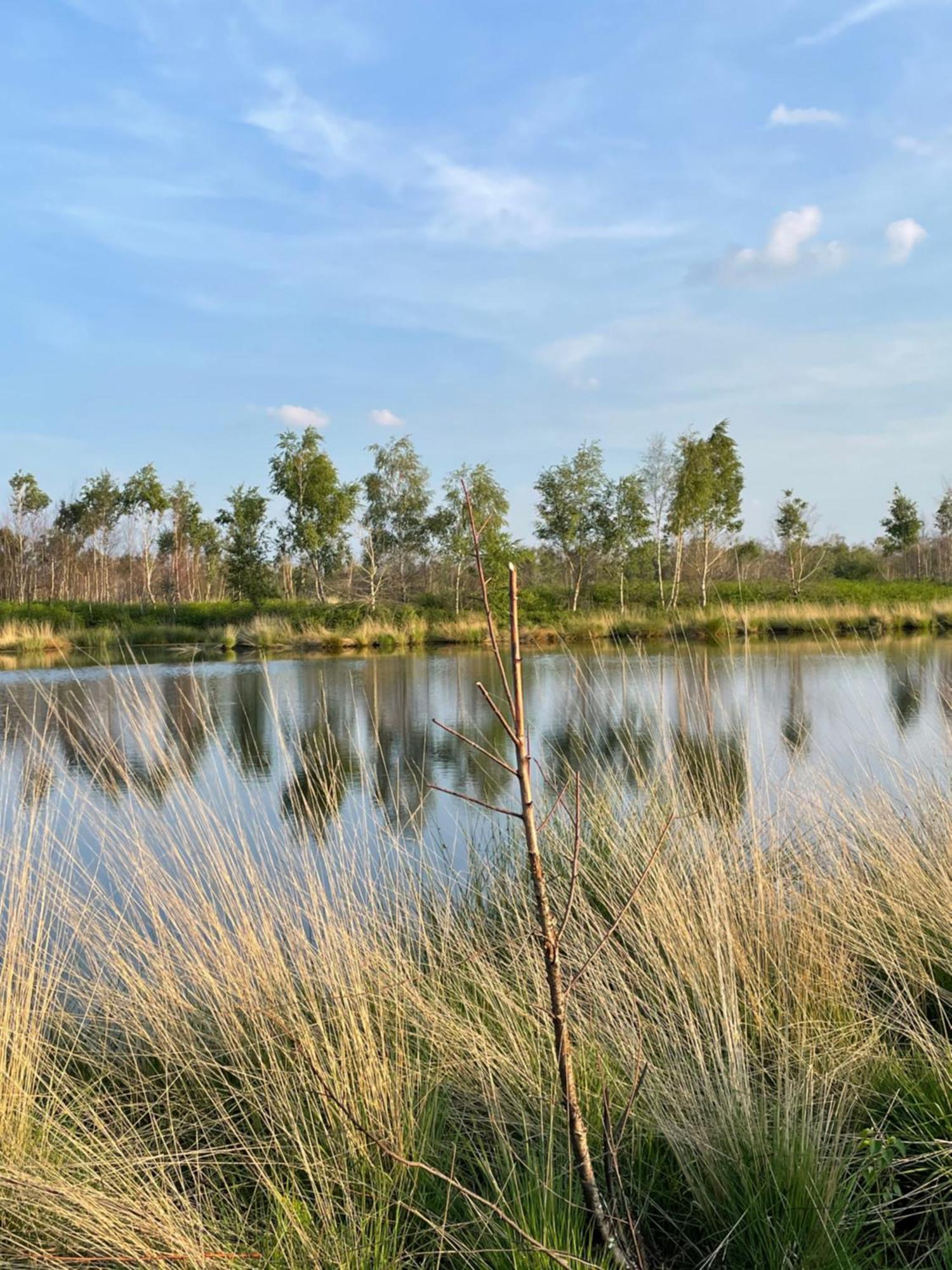 Vakantiewoning Hegga Hegelsom ภายนอก รูปภาพ